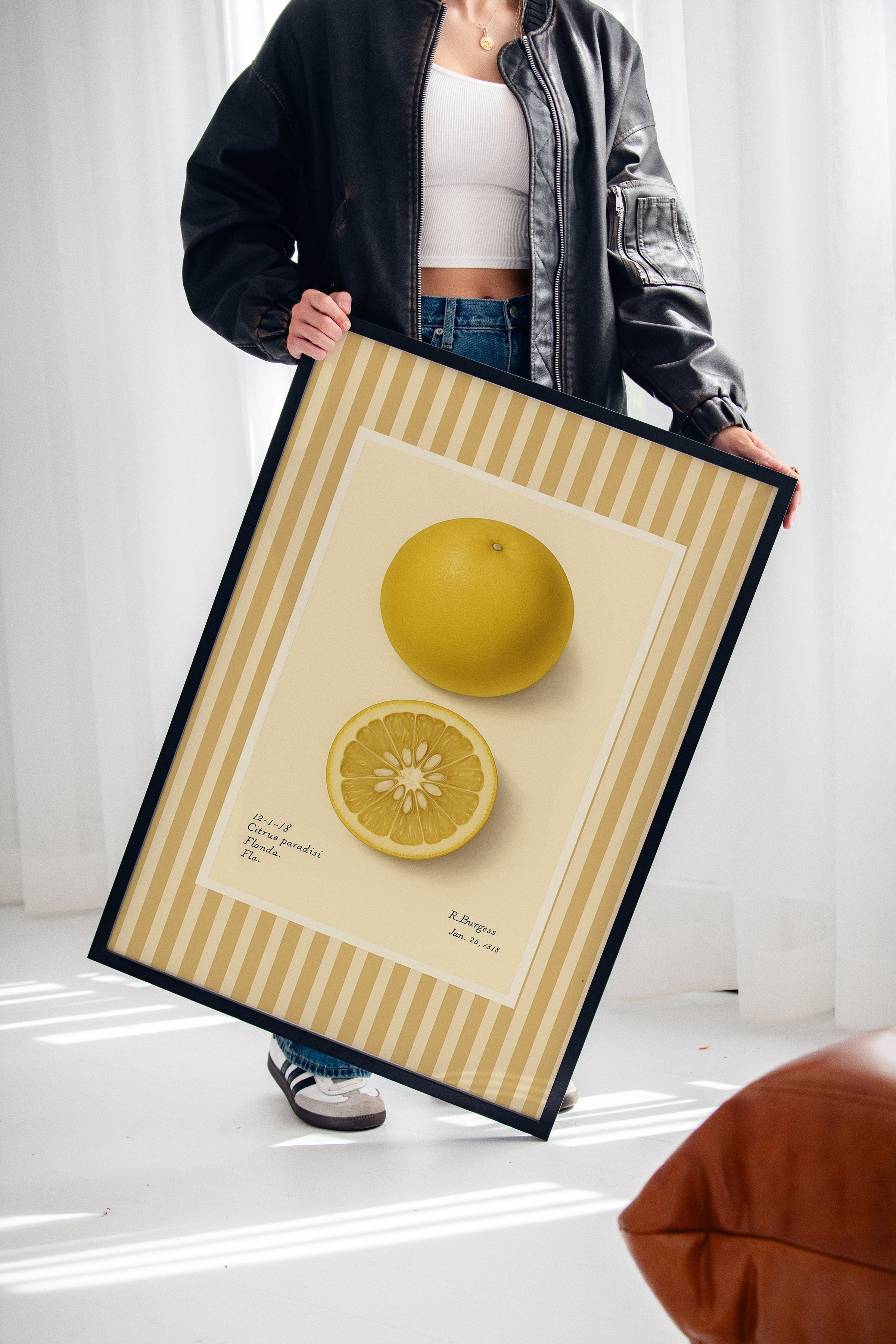 Florida Grapefruit Vintage Botanical Art