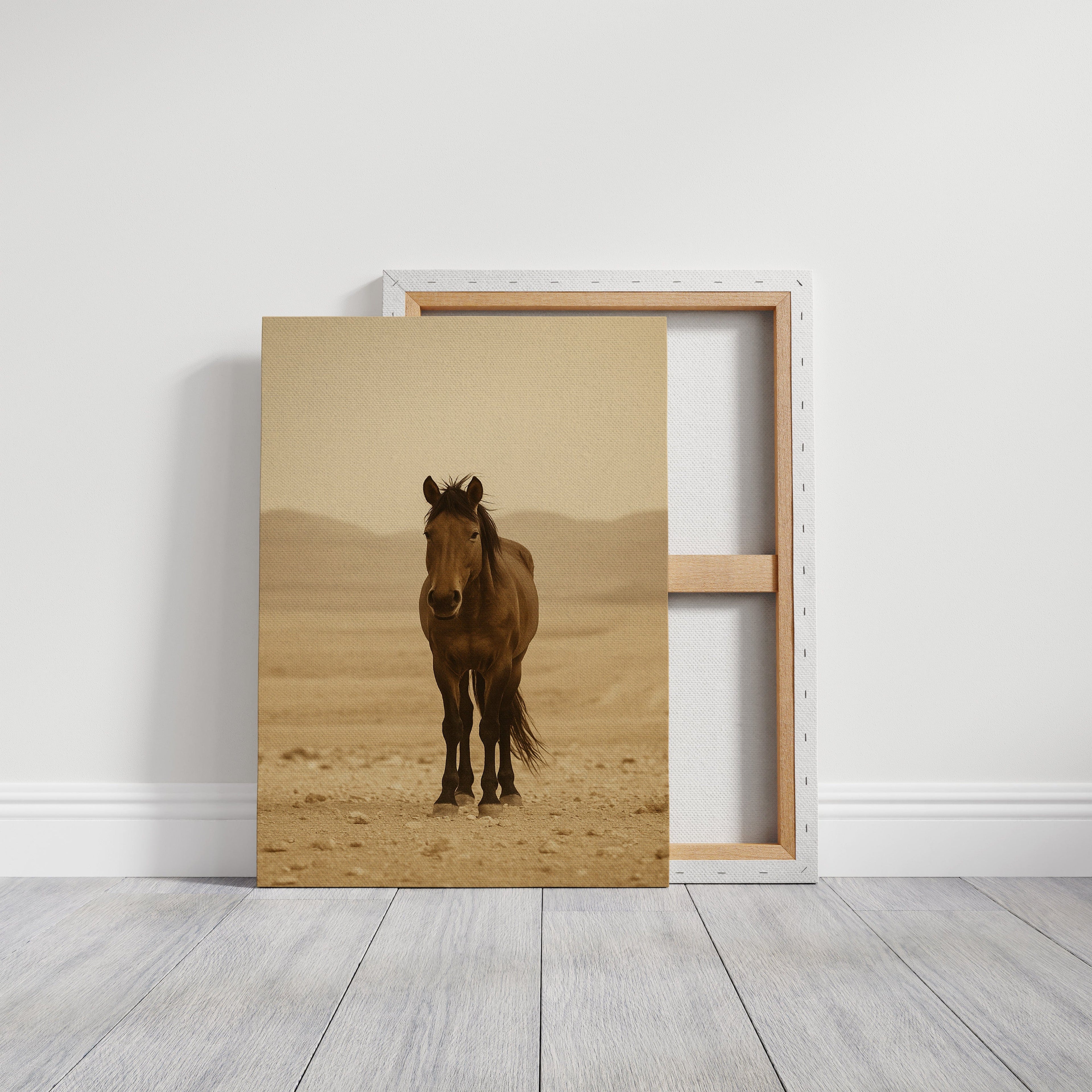 Lone Desert Mustang