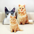 Soft Custom Pet Photo Pillow for Home Decor