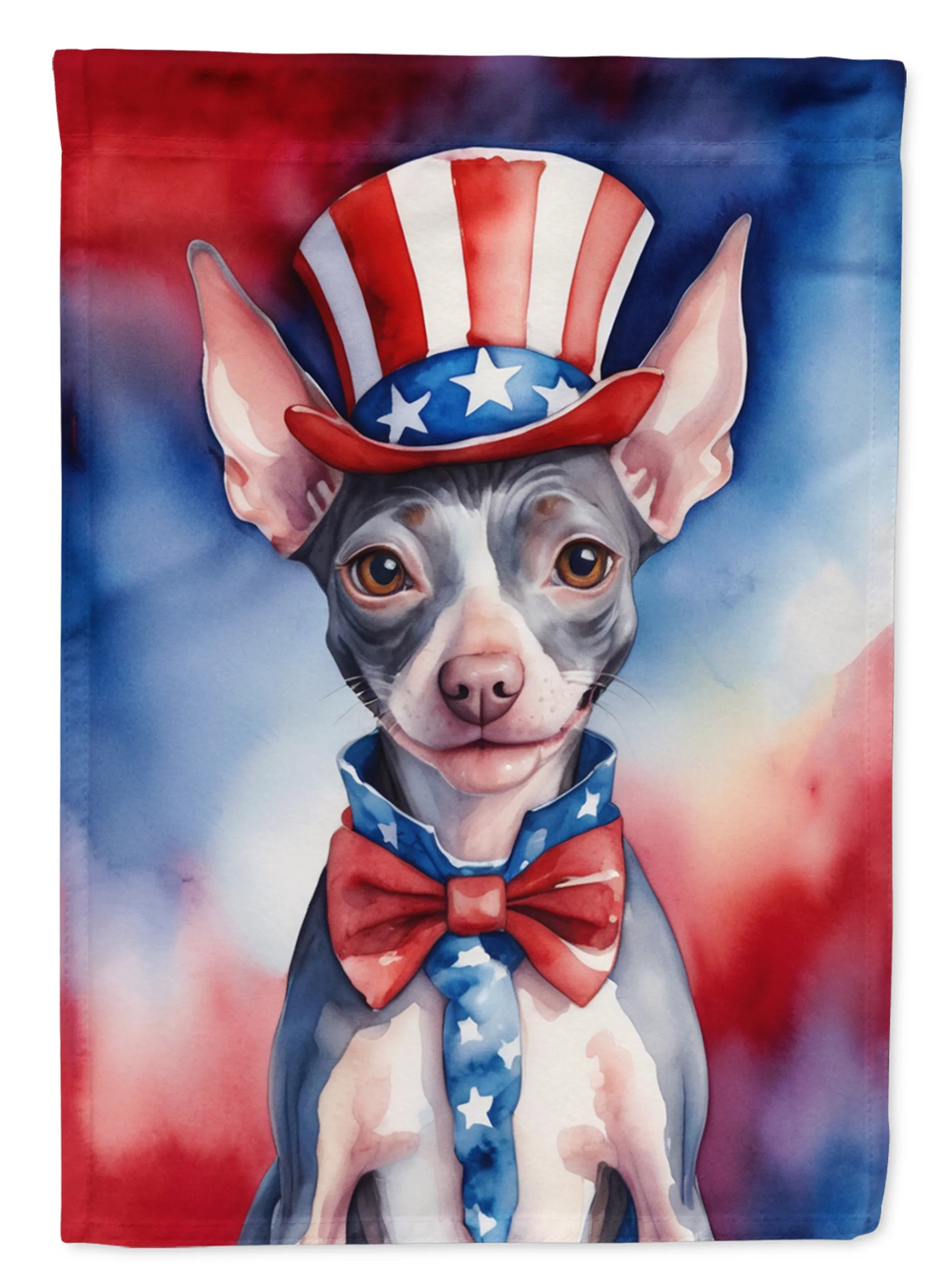 Patriotic American Decorative Flag - Size: GARDEN SIZE | Pack Of: 1 | Collection name: Patriotic american