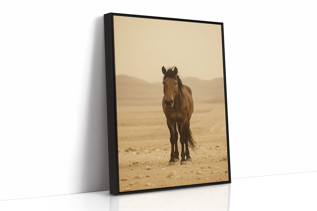 Lone Desert Mustang