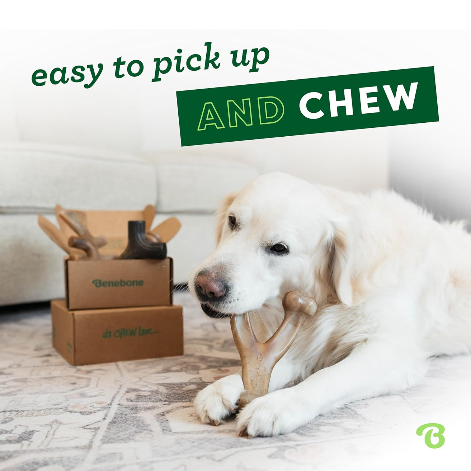 4-Pack Dog Chew Toys for Aggressive Chewers, Made in USA, 60lbs and Under