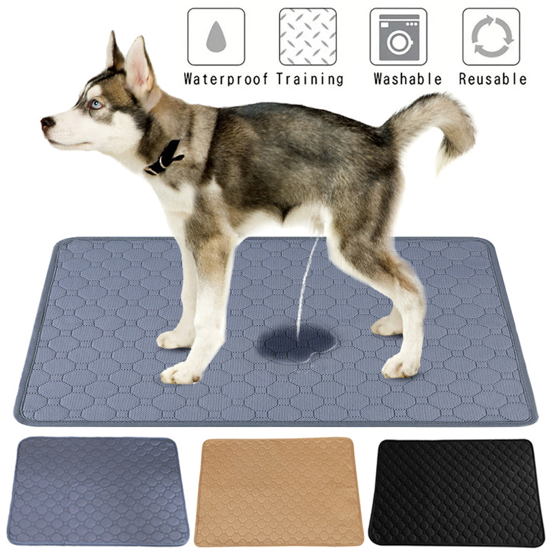Washable Dog Pee Pads – Reusable Waterproof Training Pads