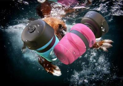 Portable Dog Water Bottle & Bowl 2-in-1 – 520ml Leak-Proof Travel Dispenser