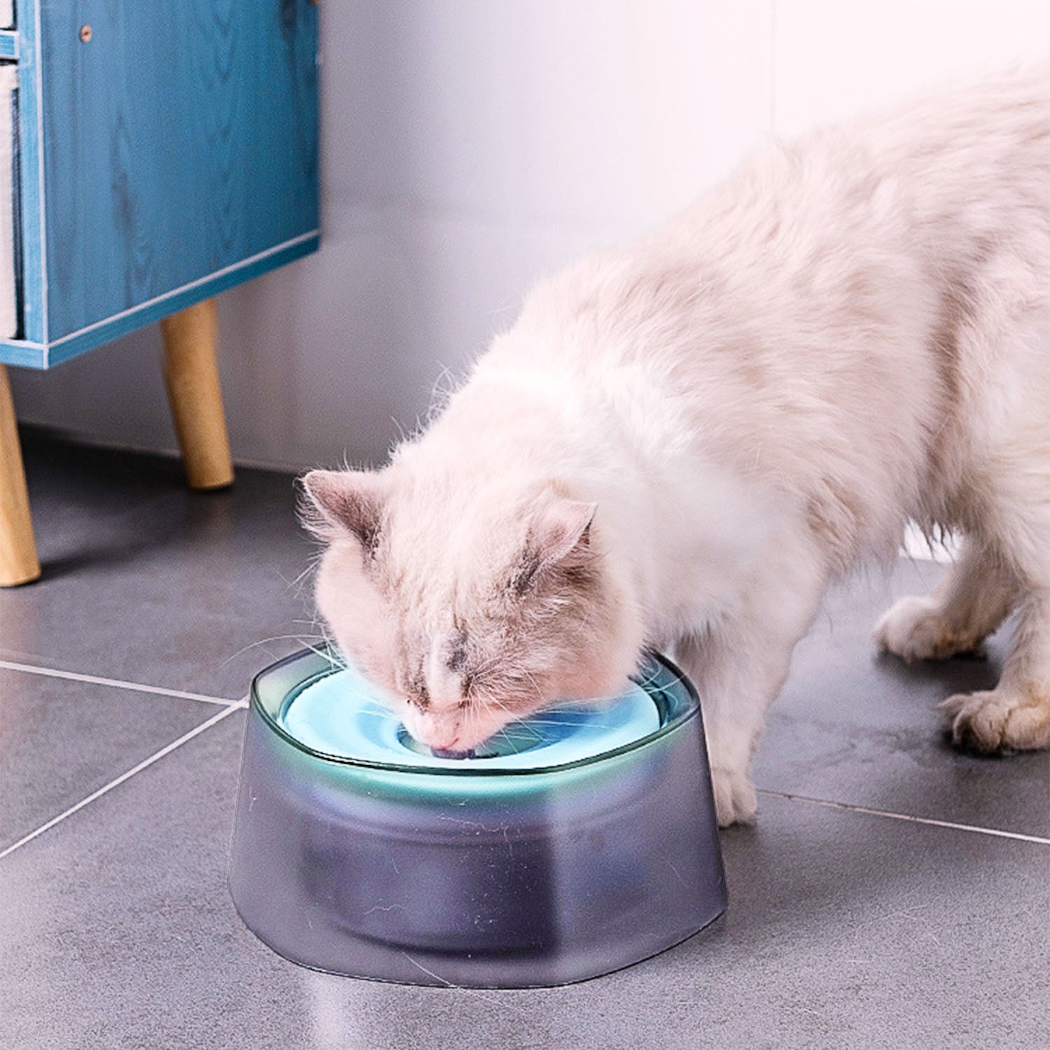 GBruno No Spill Dog Cat Water Bowl