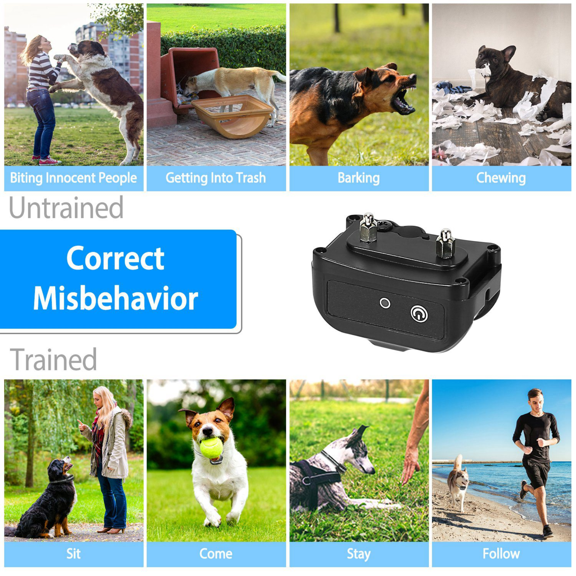 GBruno Dog Training Collar Dog