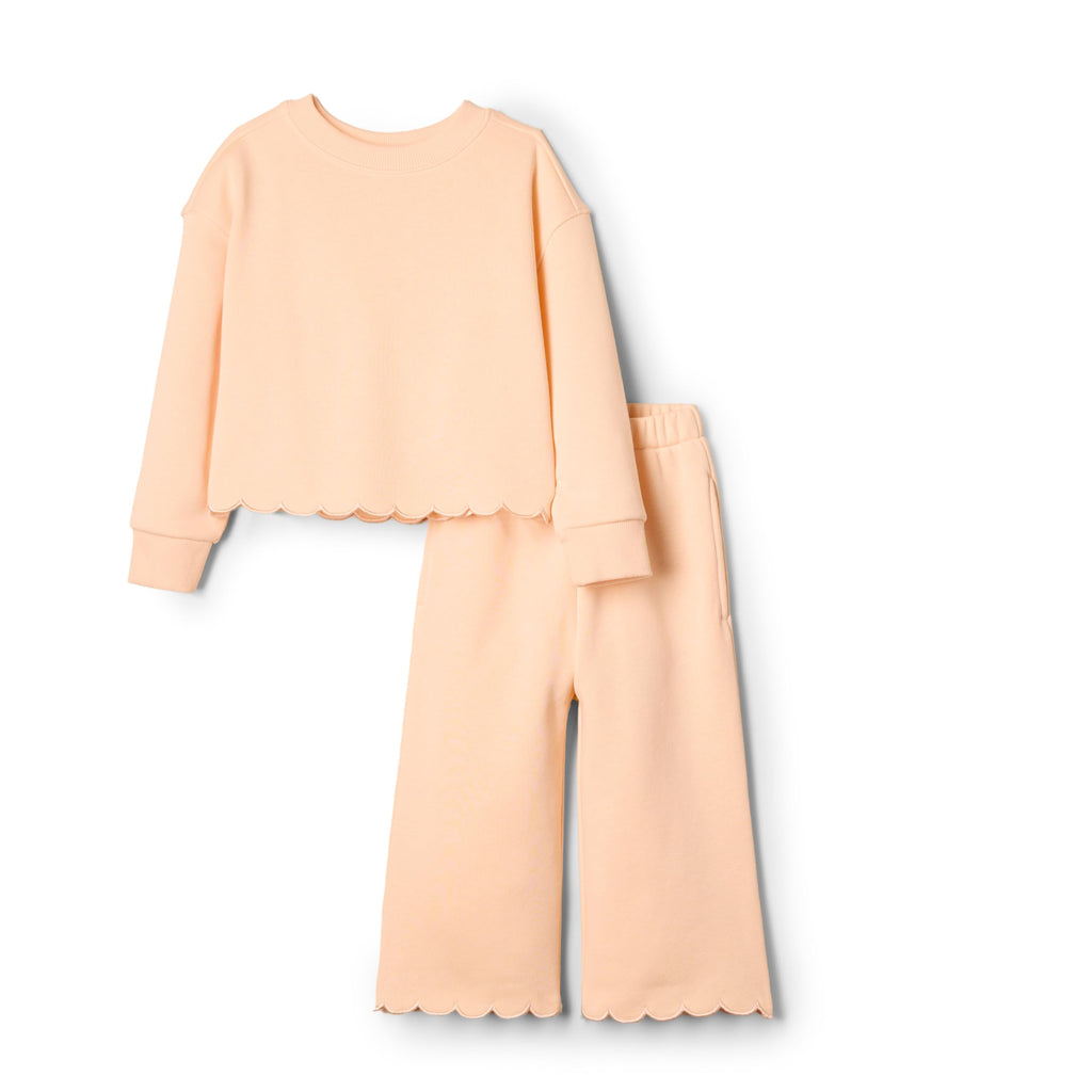 Amazon Essentials x Sofia Grainge Toddlers and Baby Girls' French Terry Sweatshirt Pant and Top Set