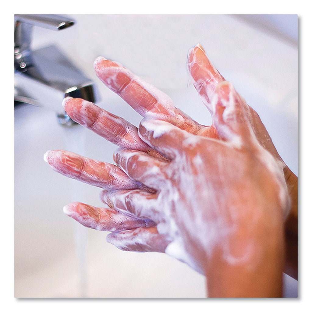 Safeguard Antibacterial Liquid Hand Soap, Light Scent, 1 gal Bottle, 2/Carton