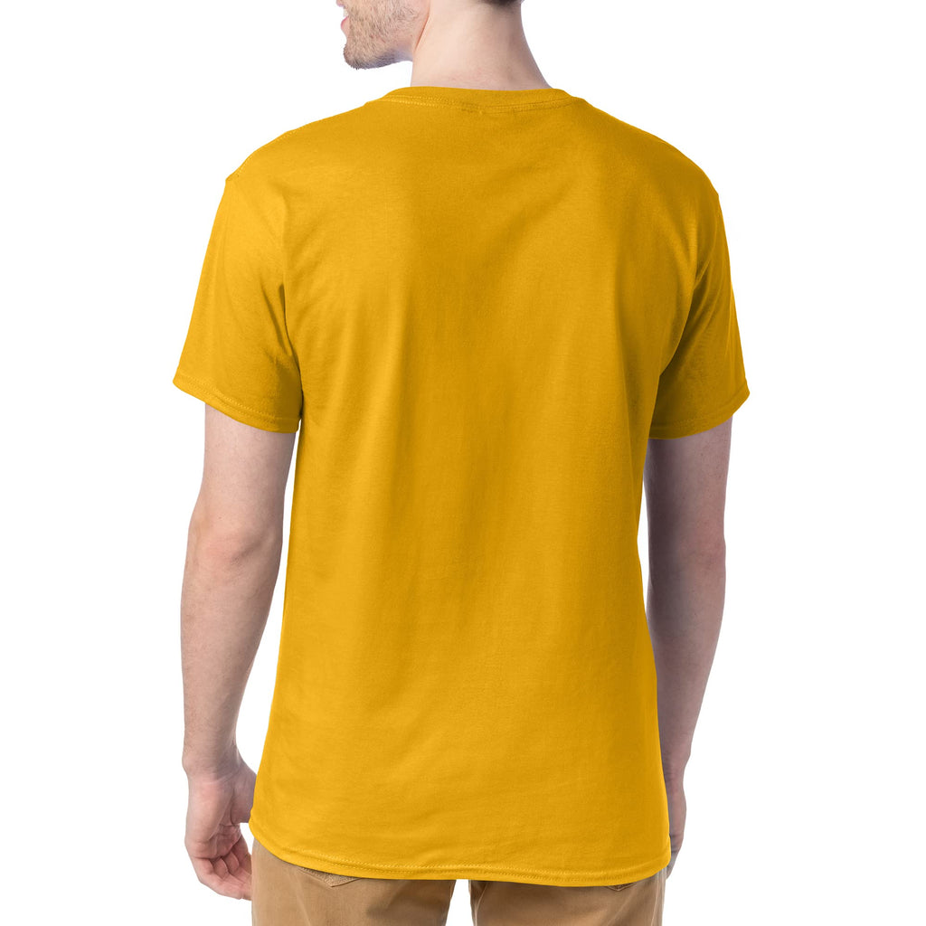 Hanes Men's T-Shirt Pack - 4 or 6 Pack - Essential-T Crewneck Cotton T-Shirts - Everyday Men's Clothing - Big & Tall