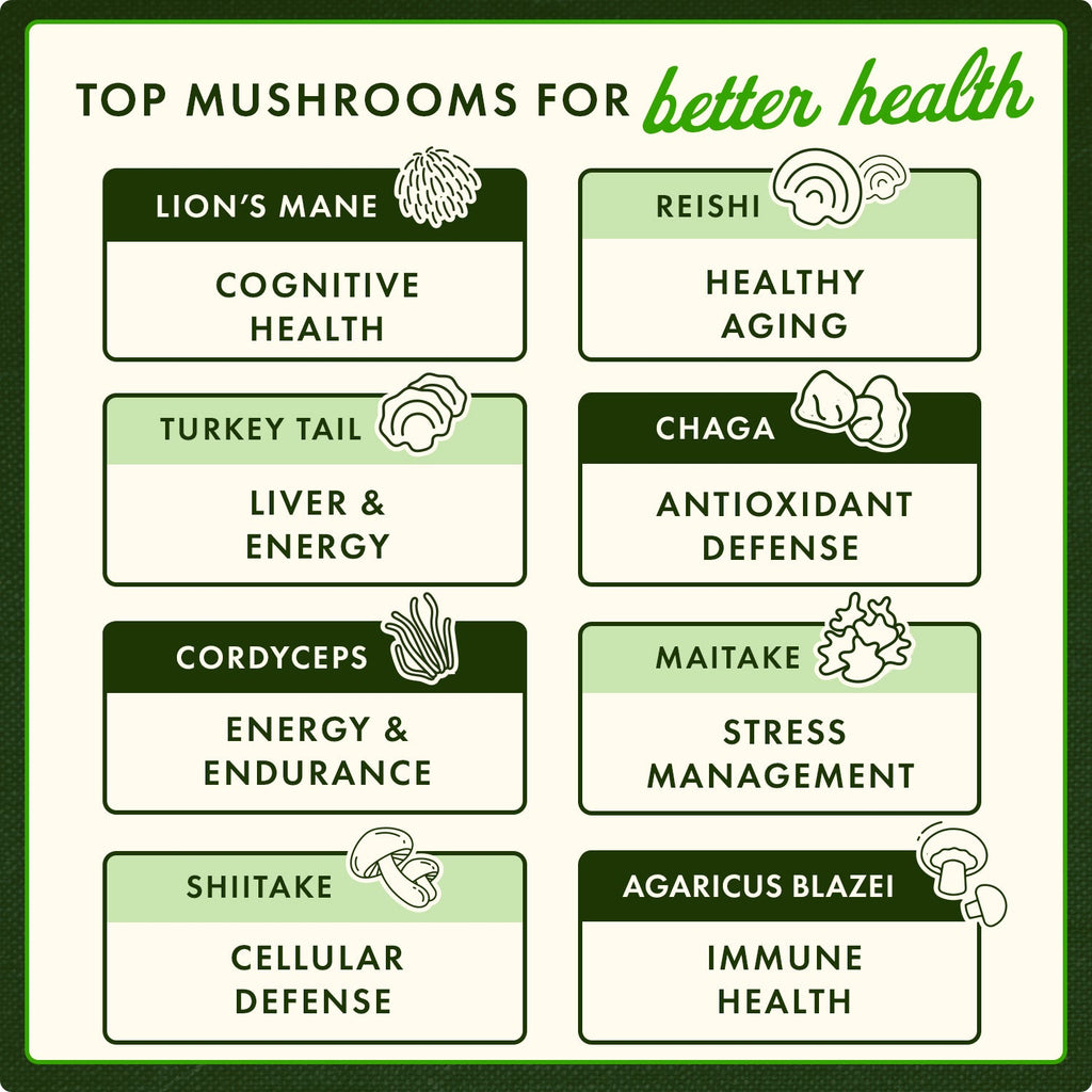 Triple Mushroom Complex - 3 Mushroom Formula
