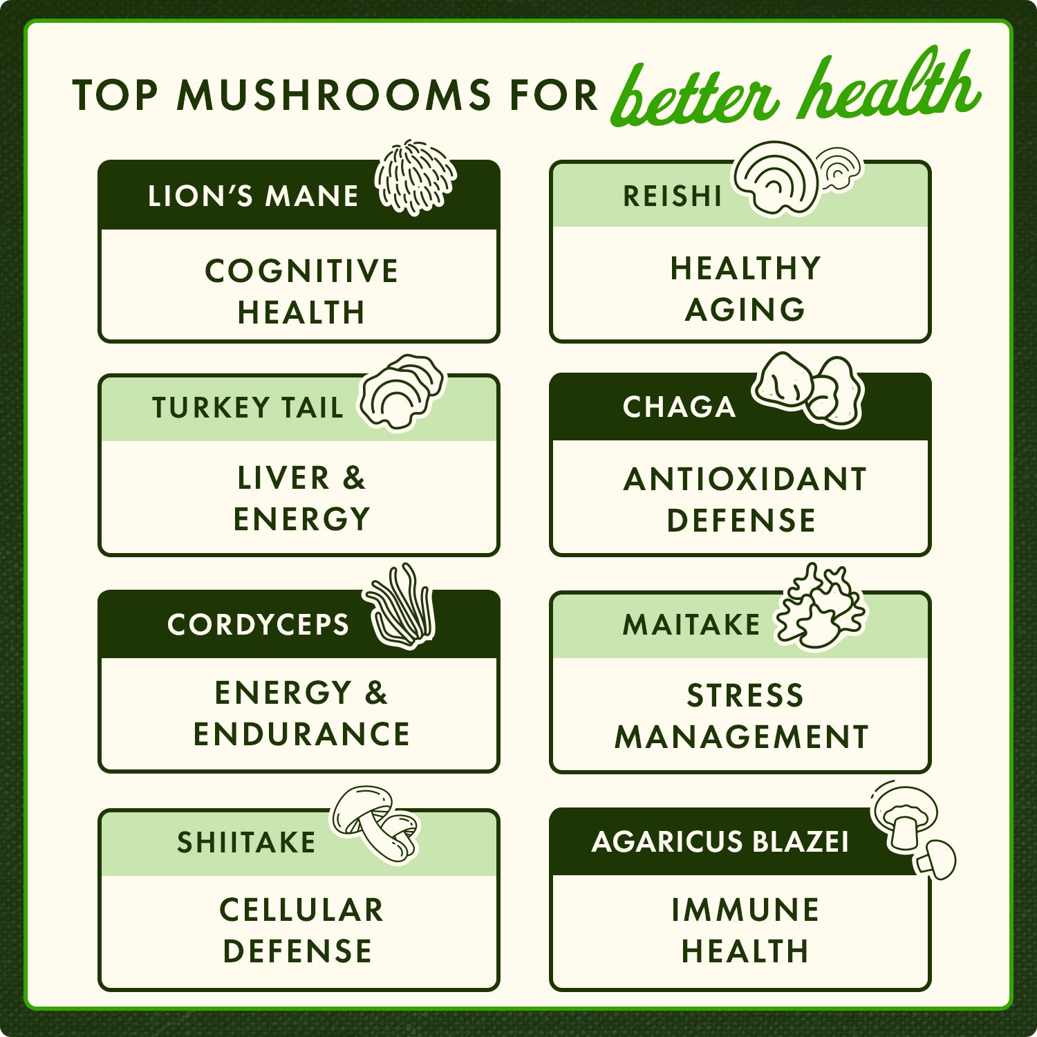 Triple Mushroom Complex - 3 Mushroom Formula