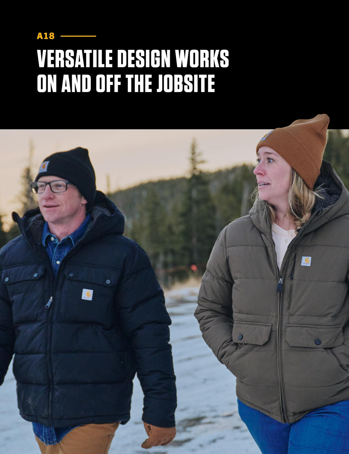 Carhartt Men's Iconic A18 Watch Cap Beanie