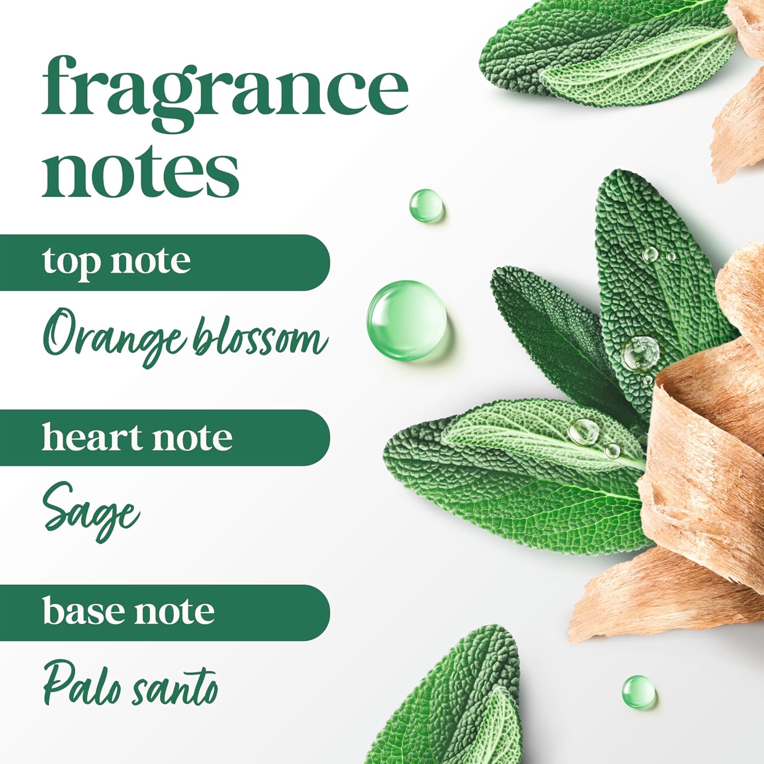 Dove Solid Stick Palo Santo & Sage for 72-Hour Sweat and Odor Protection Alcohol Free 2.6 oz