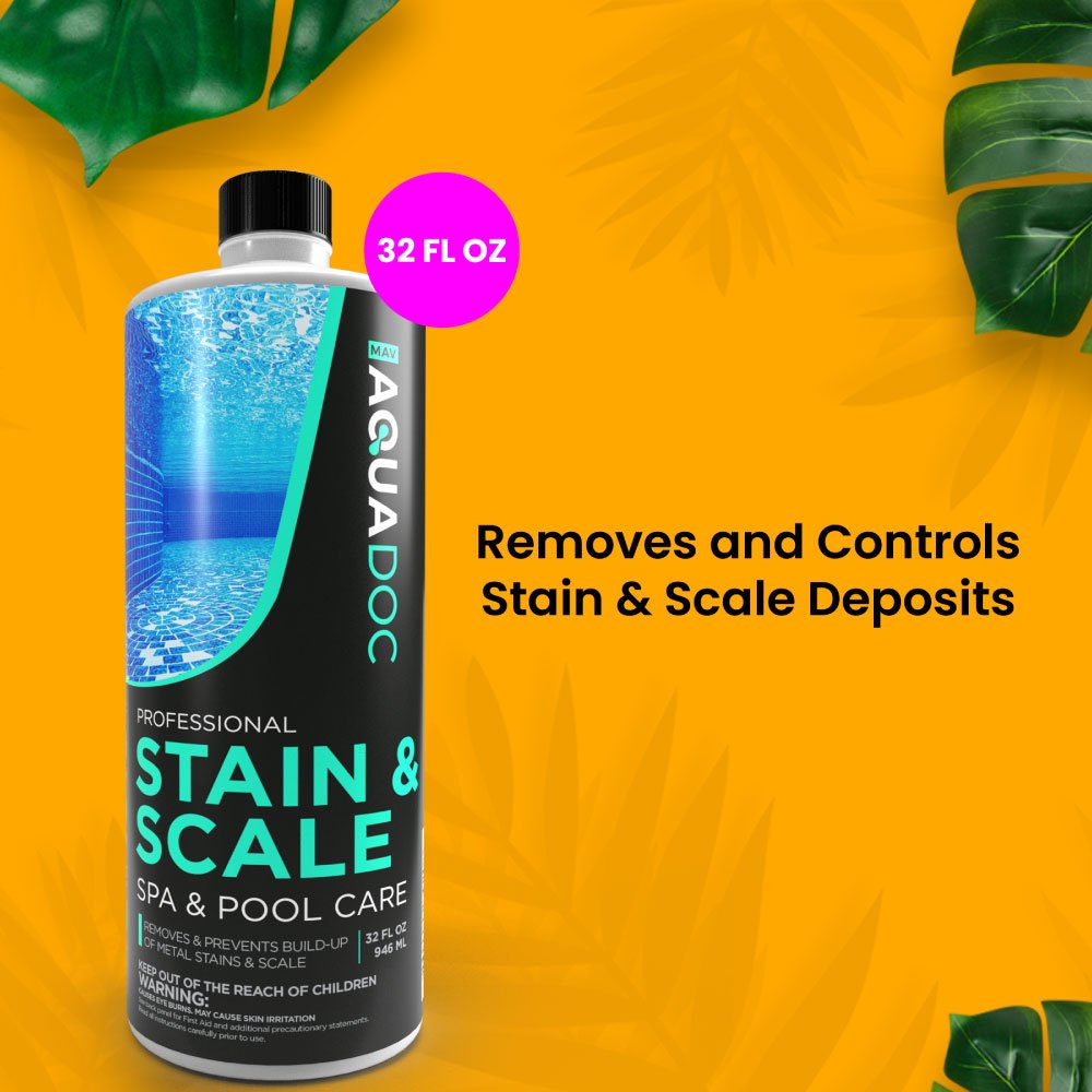 Pool Filter Clean & Stain and Scale Combo