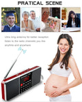 Digital FM Radio Receiver Stereo Red