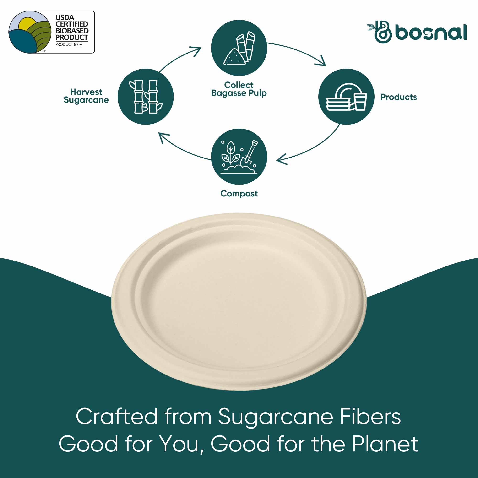 10 Inch Round Compostable Plates – 500 Pcs, 100% Sugarcane Bagasse, Eco-Friendly Disposable Plates for Hot & Cold Meals, Microwave Safe, BPA-Free, Sturdy