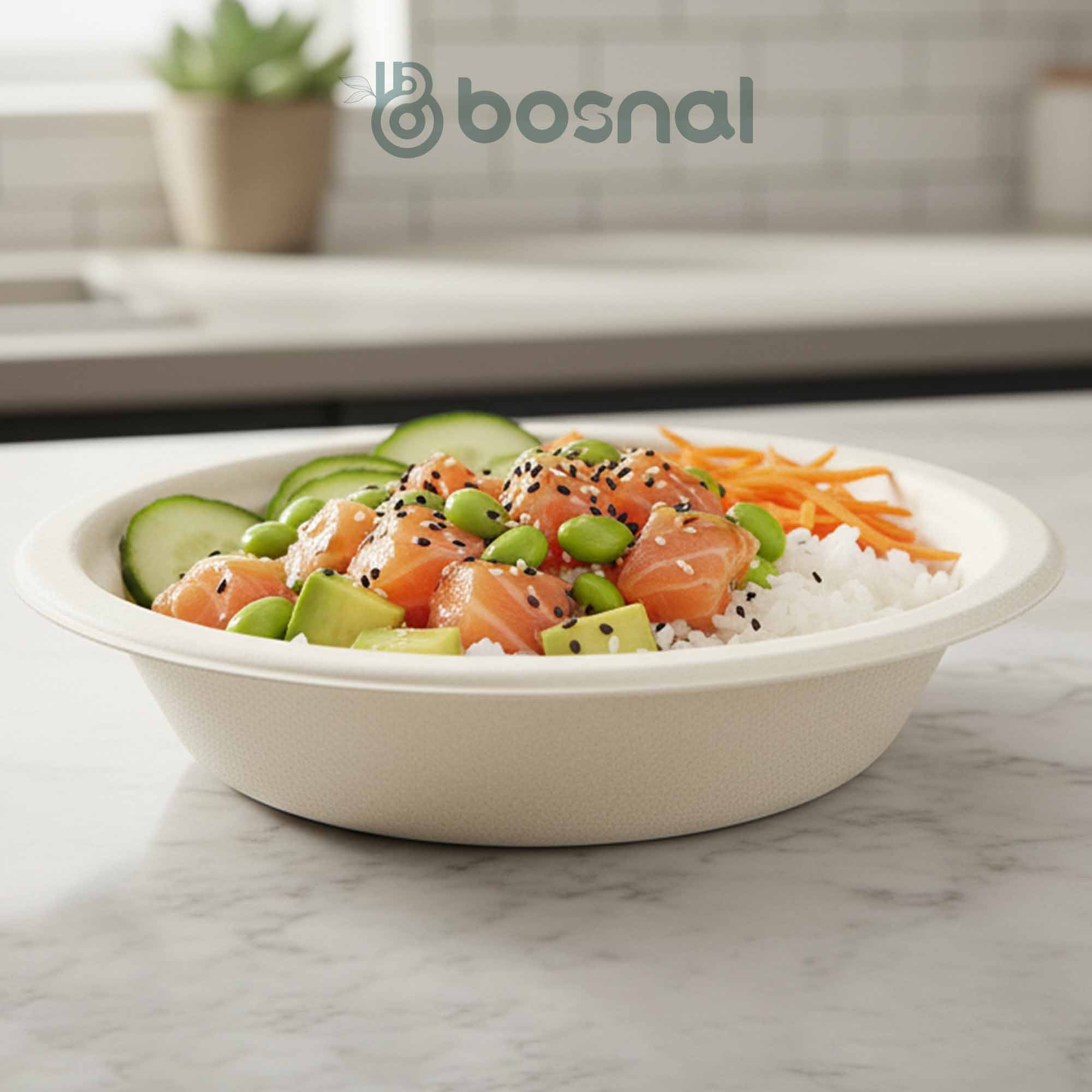 10 Inch Round Plates with 16 oz Bowls, 100% Plant-Based Sugarcane Bagasse, Compostable, Microwave Safe, Eco-Friendly Dinnerware