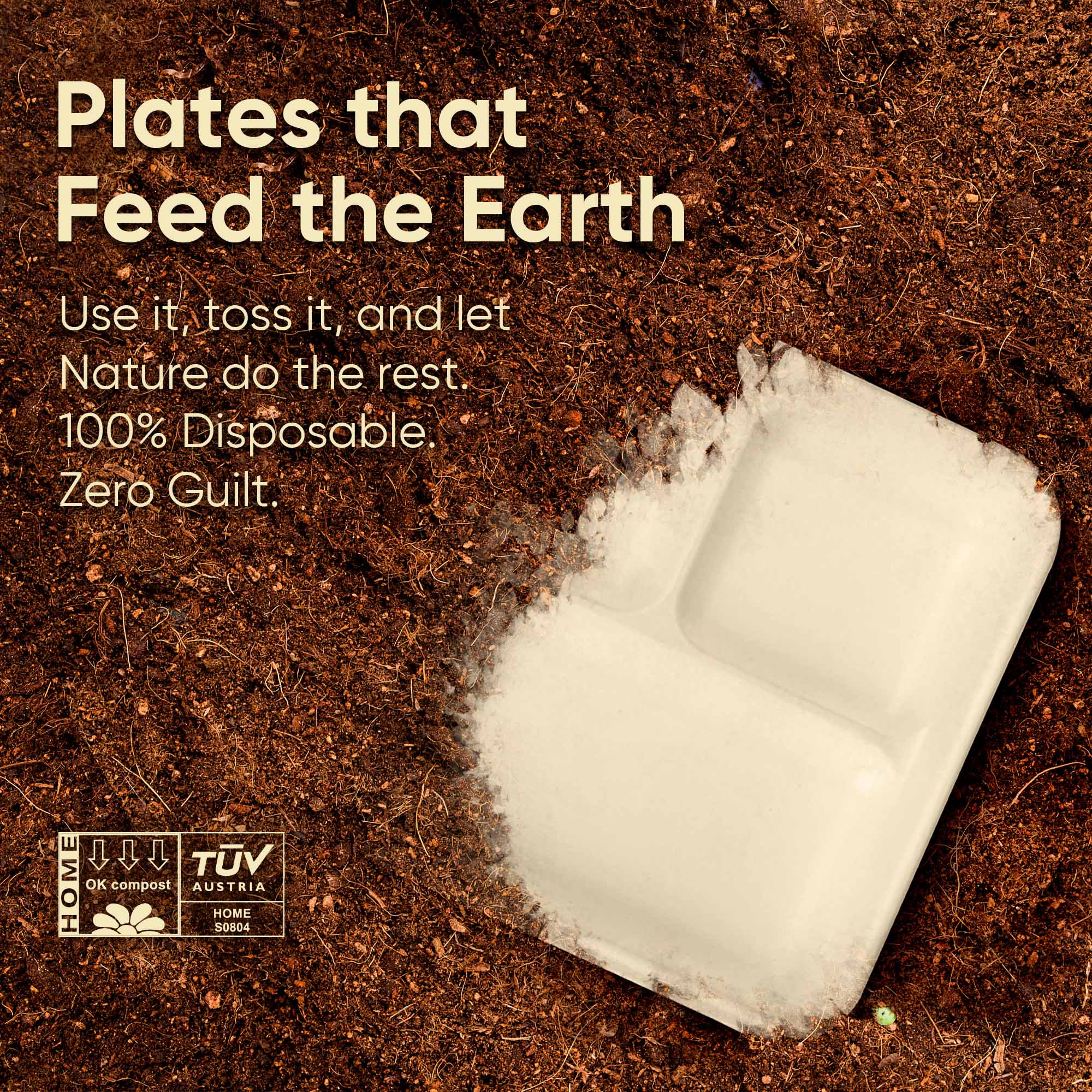 10 Inch Rectangle 5-Compartment Sugarcane Bagasse Compostable Trays, Eco-Friendly Disposable Food Trays, Microwave Safe