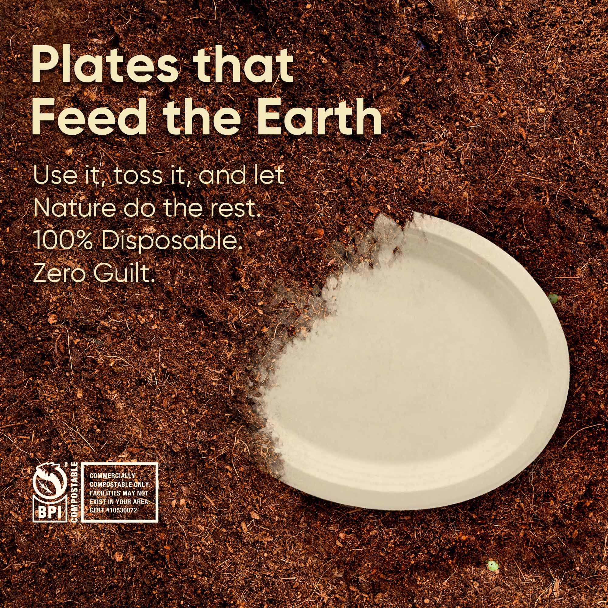 10 Inch Oval Compostable Plates – 500 Pcs, 100% Sugarcane Bagasse, Eco-Friendly Disposable Plates, Microwave Safe, BPA-Free, Sturdy