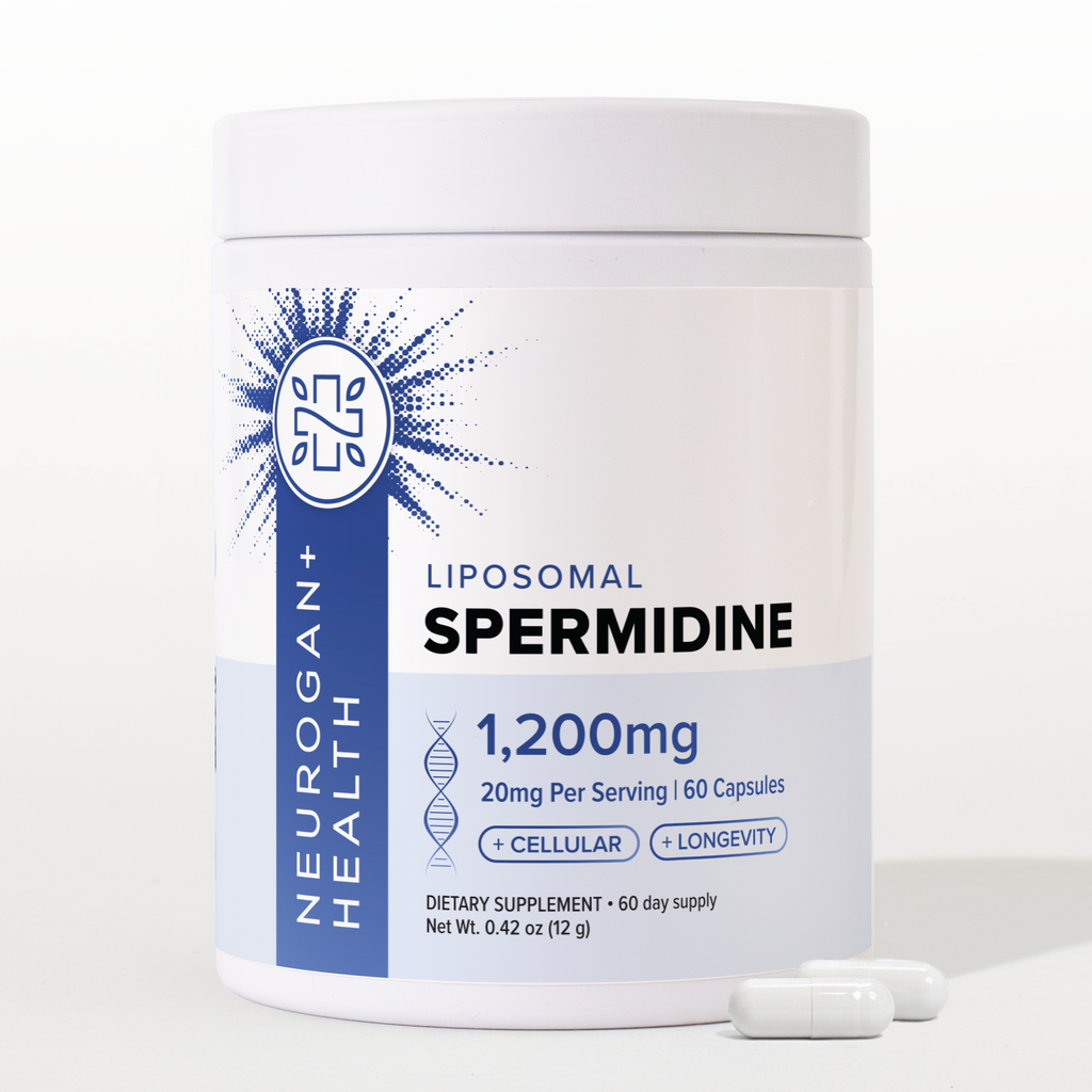 Liposomal Spermidine Capsules