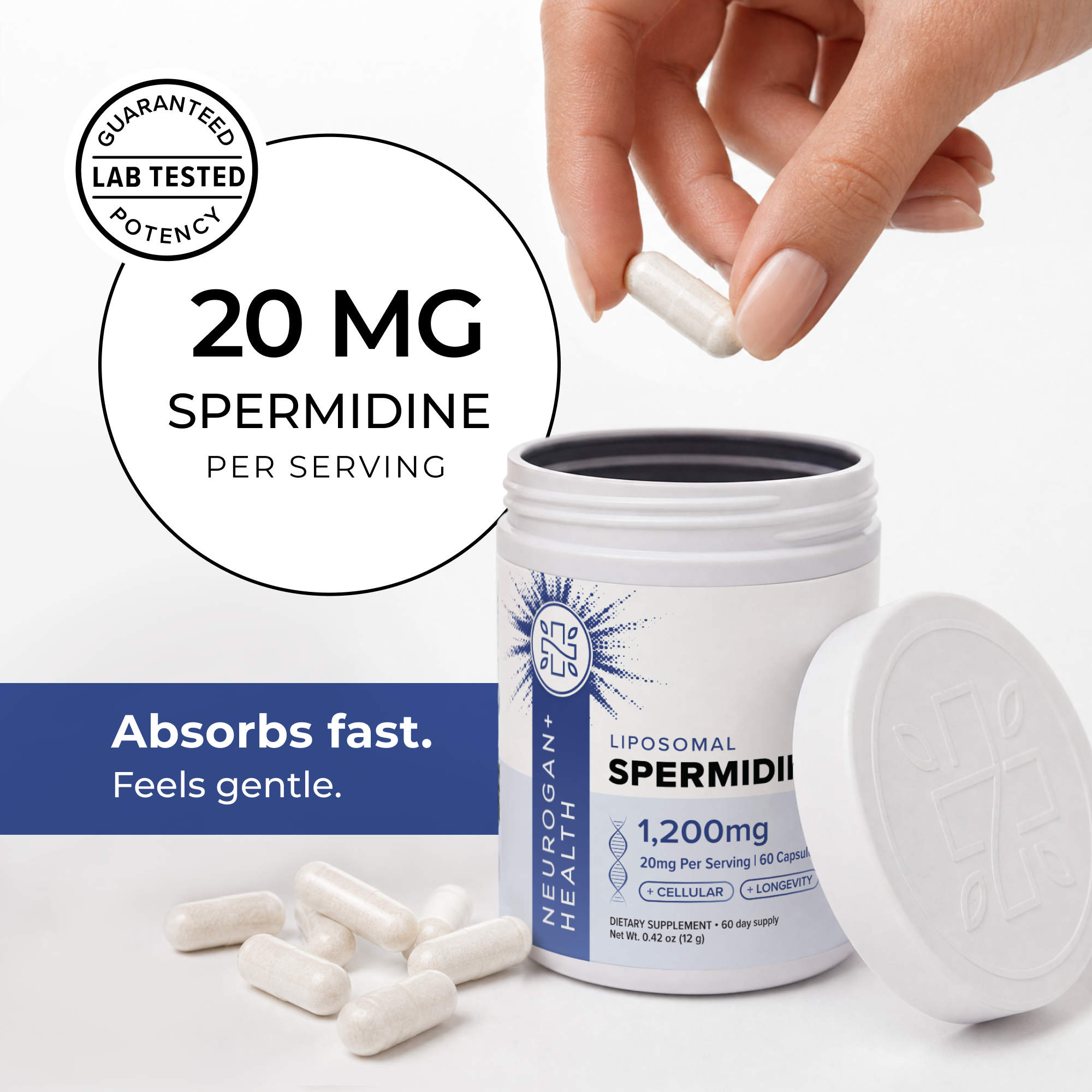 Liposomal Spermidine Capsules