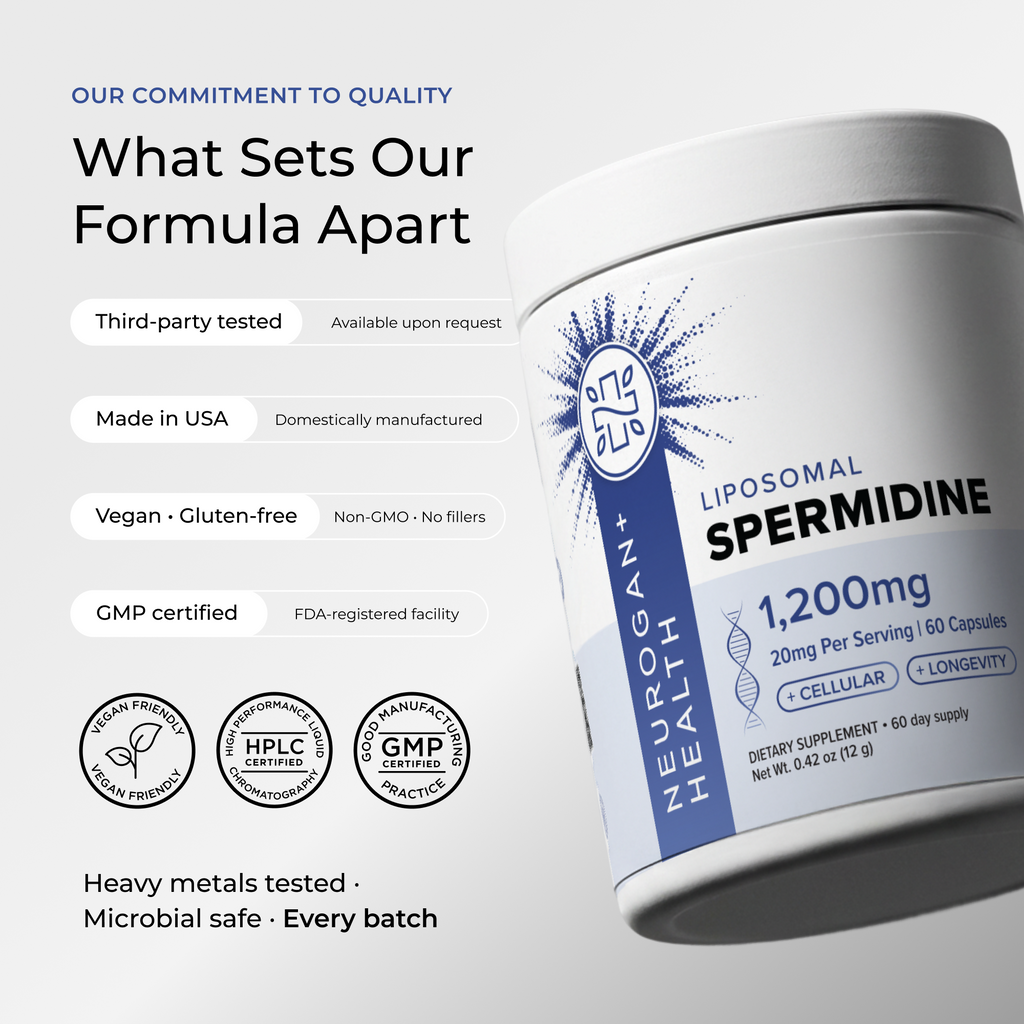 Liposomal Spermidine Capsules