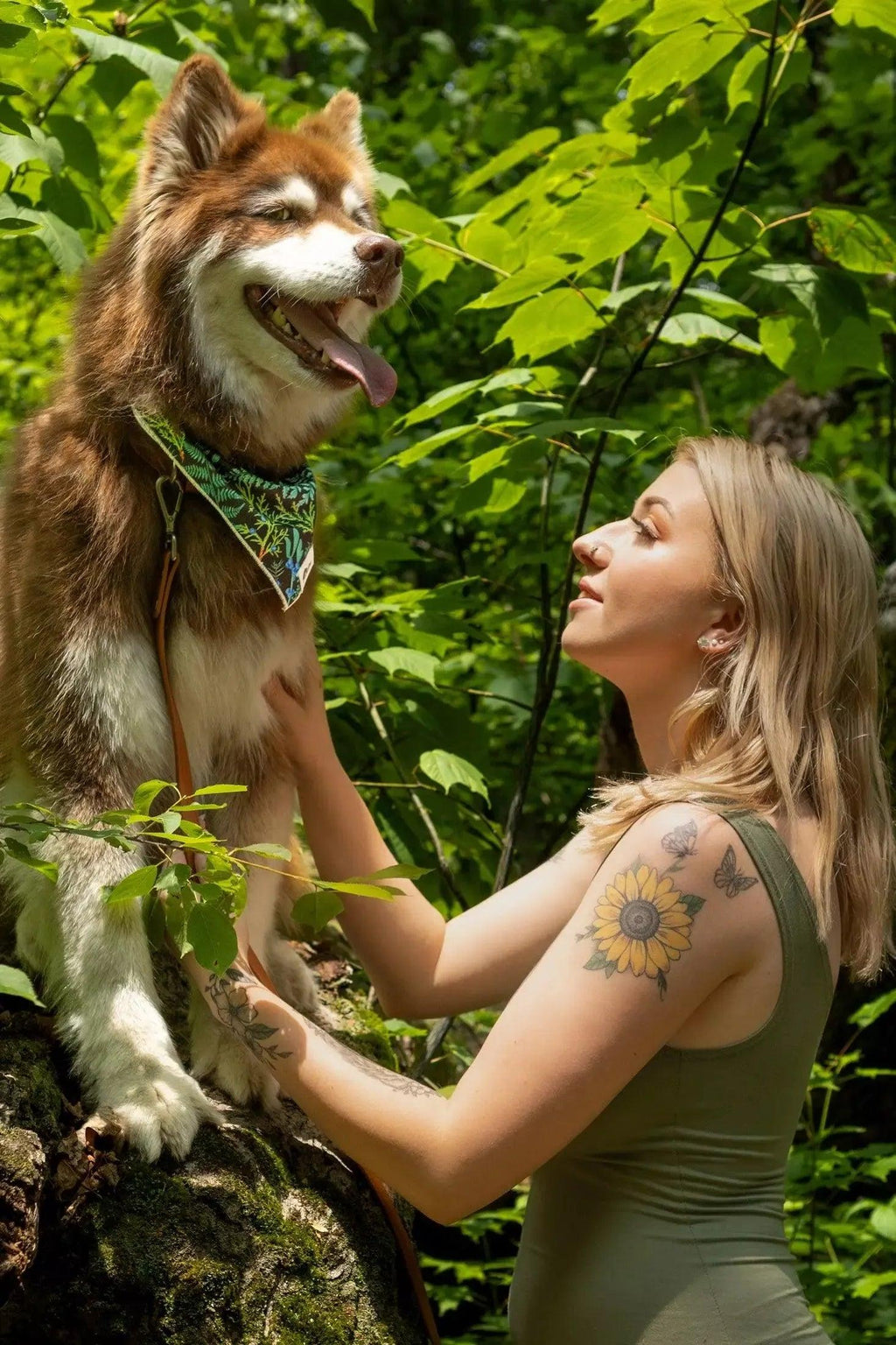 Magical Fern Forest Dog Bandana
