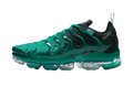 Nike Air VaporMax Plus 'City Special Atlanta'