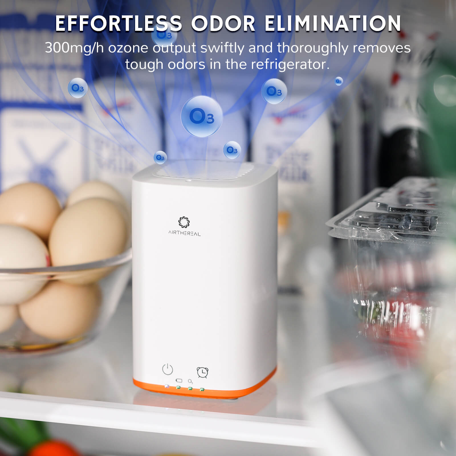 PA300-GO Portable Ozone Generator