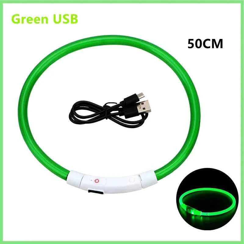 LED Pet Dog Collar for Night Safety | Bright USB Rechargeable