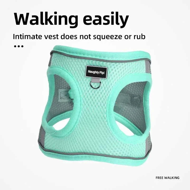 Adjustable Dog Harness & Leash Set for Small Dogs – Comfortable & Safe Walking Gear