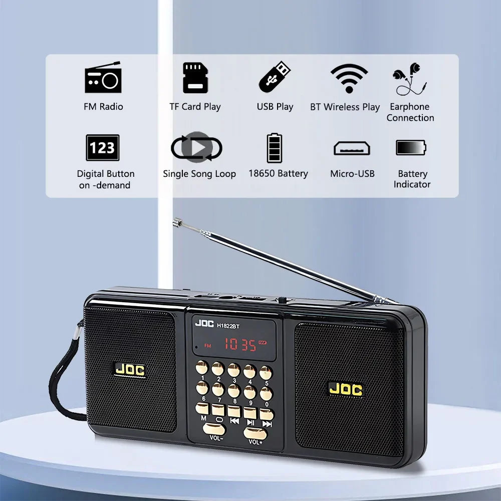 Portable FM Radio Bluetooth Speaker Black