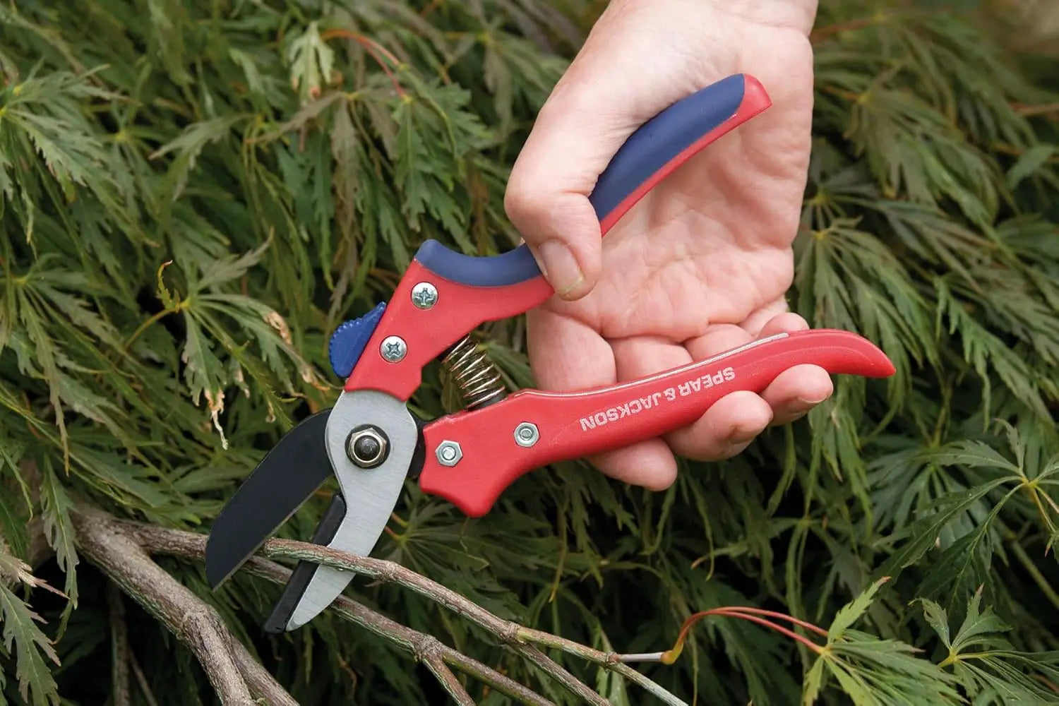 NONEMotor Razorsharp Advantage Anvil Pruning Shears For Precise Garden Cutting