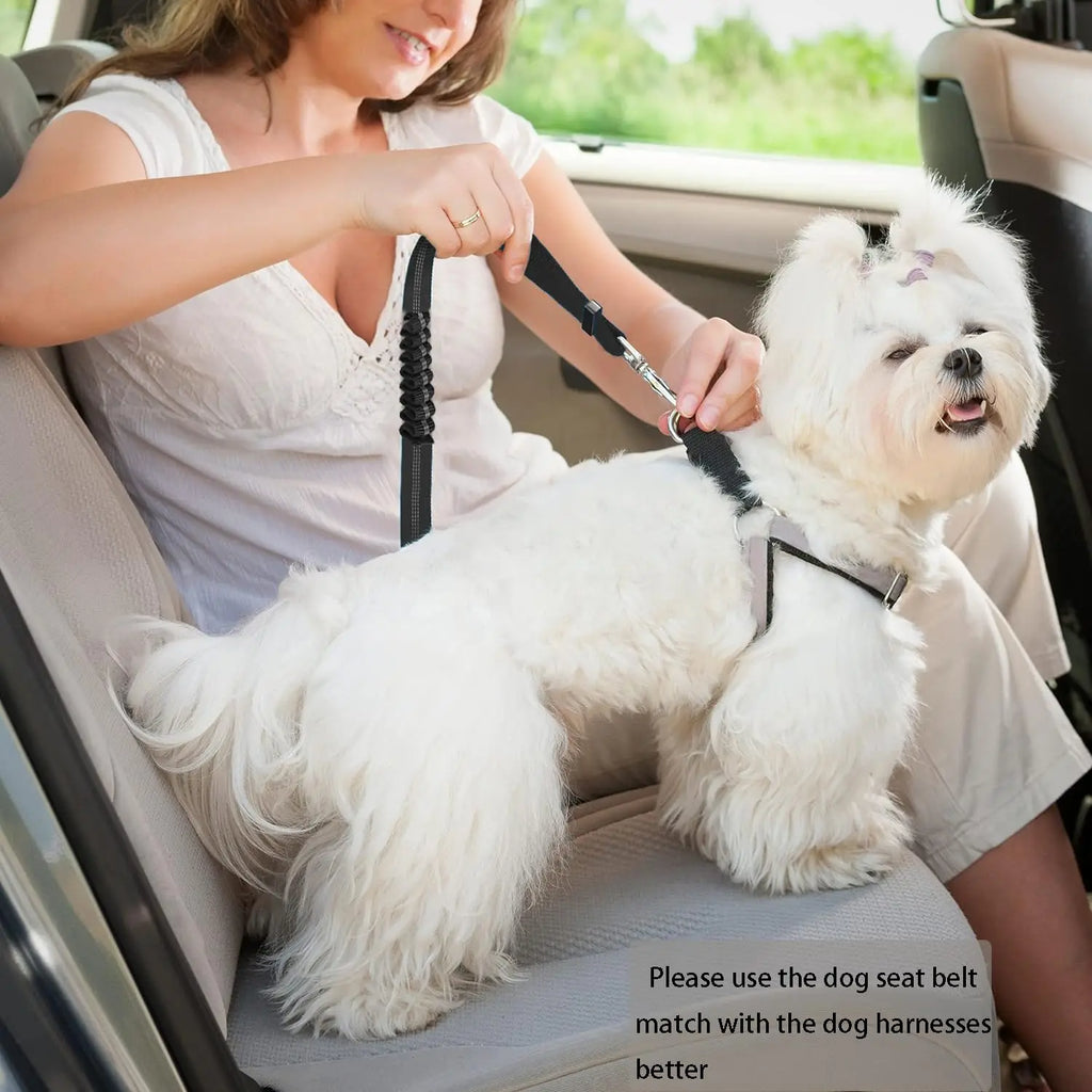 Adjustable Heavy-Duty Dog Car Seat Belt – Striped Nylon Safety Leash for Large Dogs
