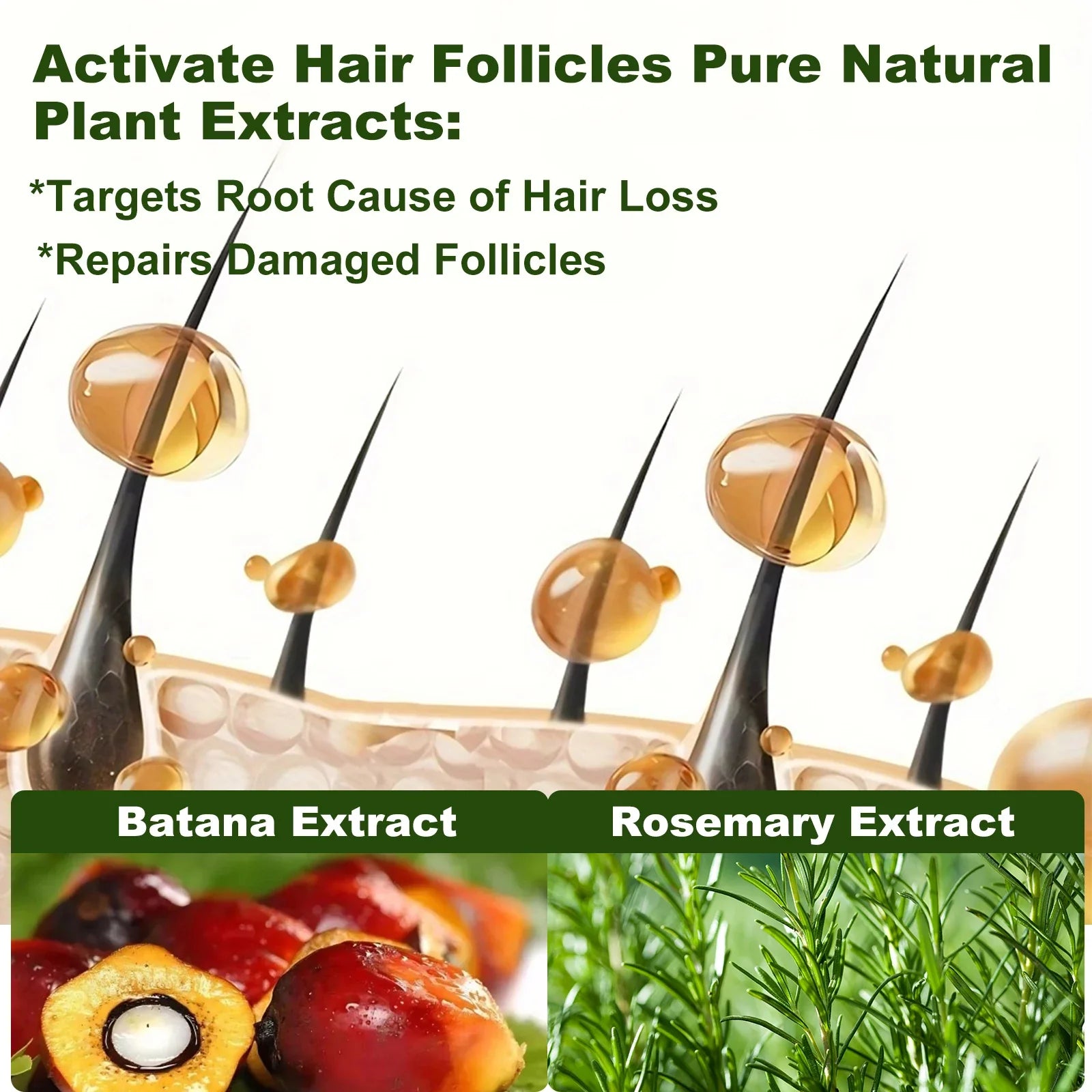 Tgideas Rosemary Batana Oil Shampoo For Hair Growth And Strength