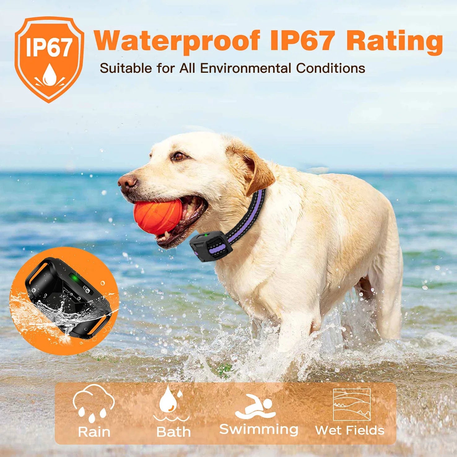 WXRPETH Dog Training Collar Remote Waterproof Shock Beep Vibration