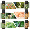 HIQILIE Woody Fragrance Oils Set For Diffusers Candles And DIY