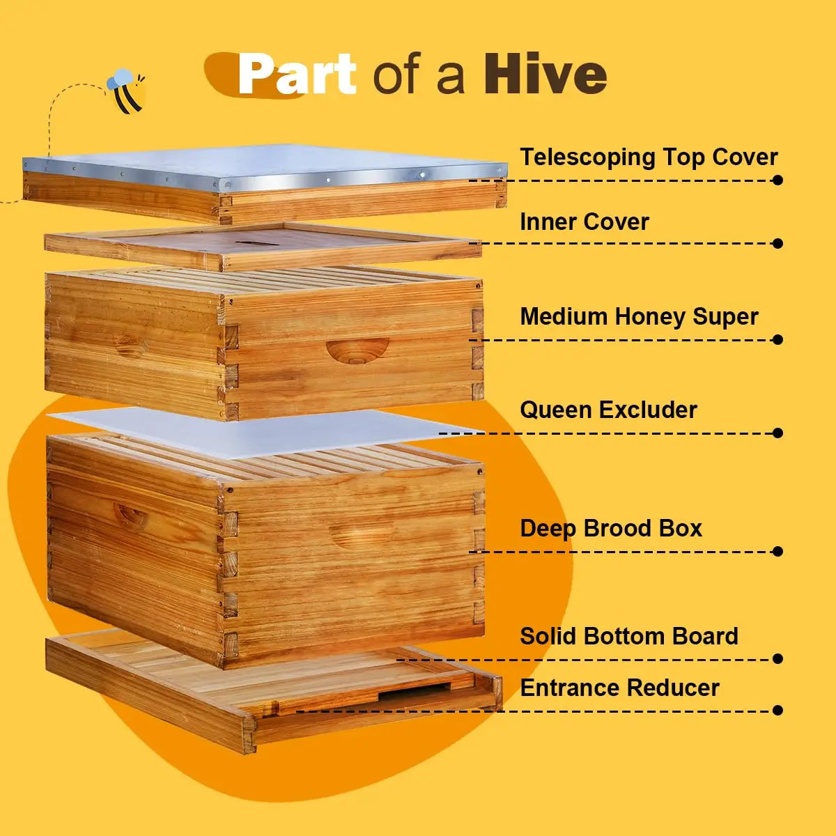 Langstroth Beehive Kit 10 Frame With Beeswax Coated Frames
