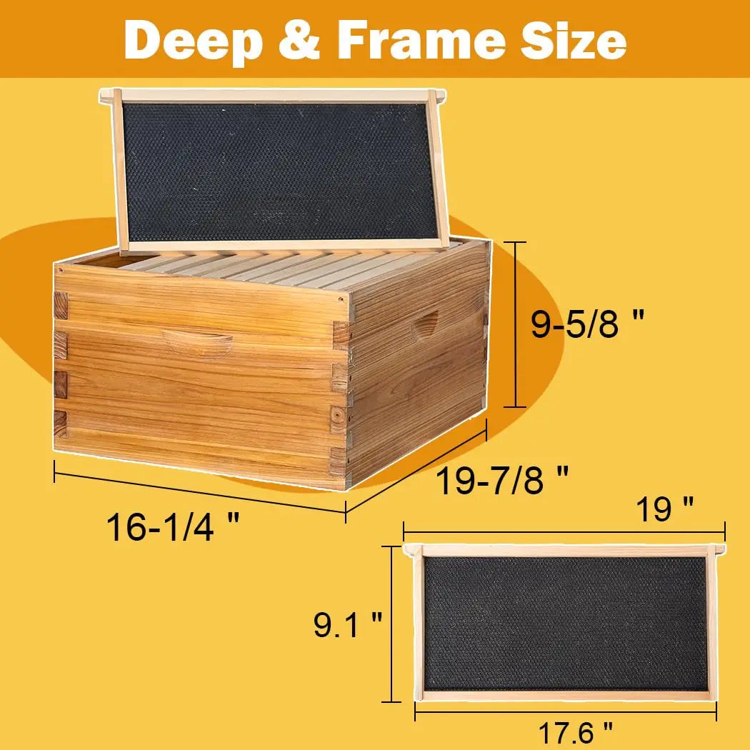 Langstroth Beehive Kit 10 Frame With Beeswax Coated Frames