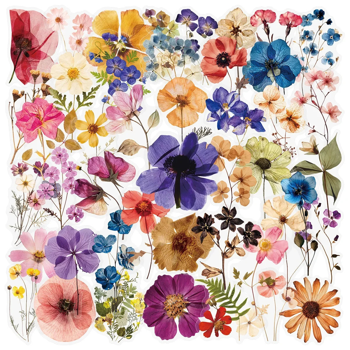 50/200PCS Transparent PET Flower Plant Material Stickers Handbooks Tablets Phone Water Cups Decor Stationary Notebook Stickers