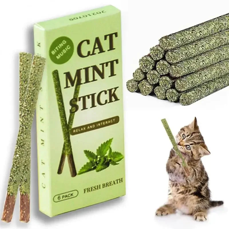 6PCS Natural Matatabi Cat Sticks – Silvervine Teeth Cleaning Treat & Cat Chew Toy