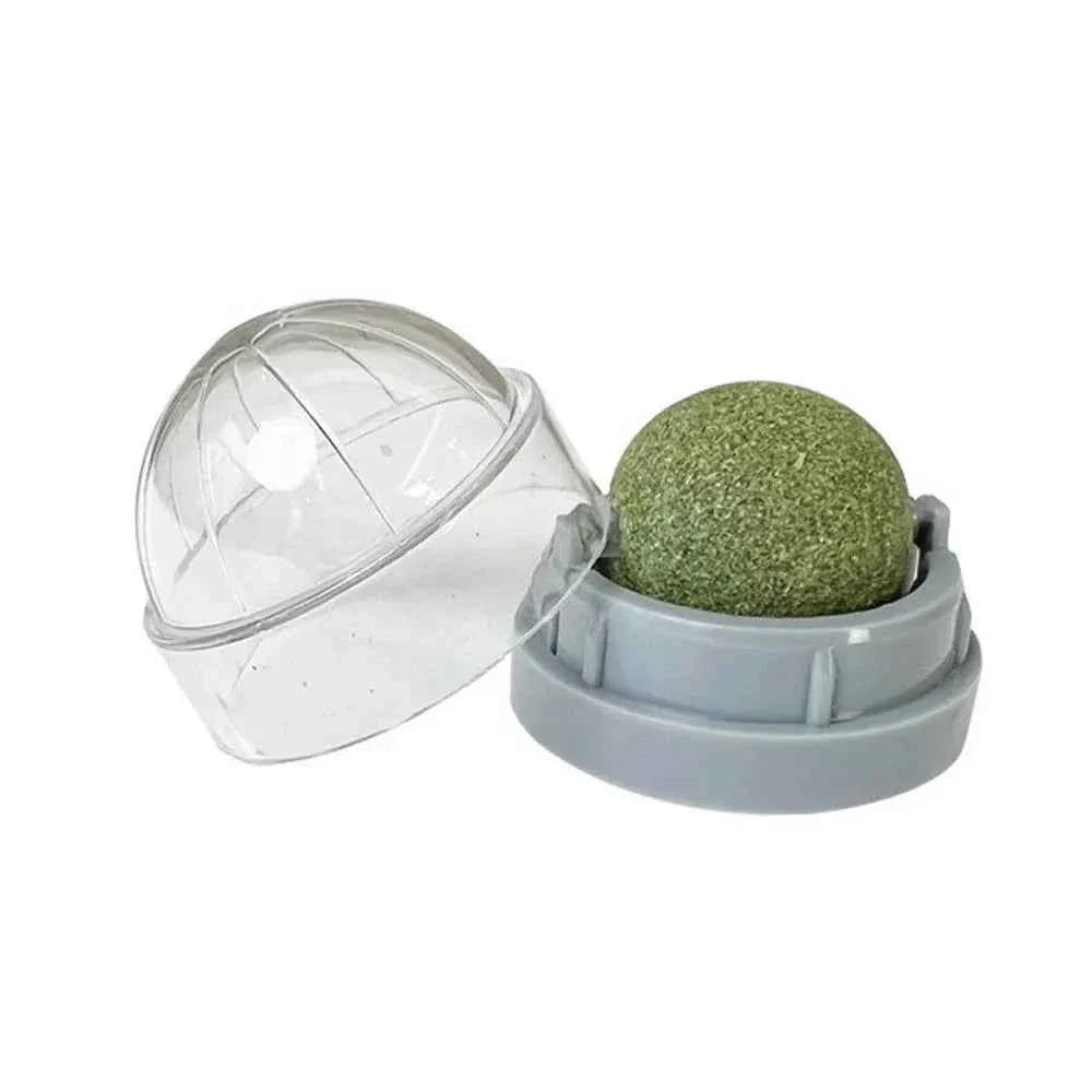 Catnip Wall Ball Treats – Digestive Aid & Fun for Cats