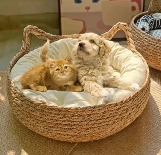 Handmade Pet House