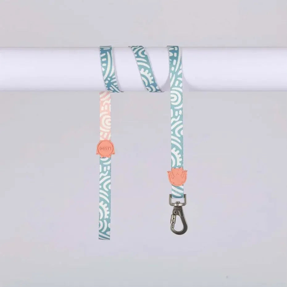 Lindo Touch Small Dog Leash Durable Walking Lead 15mm-120cm