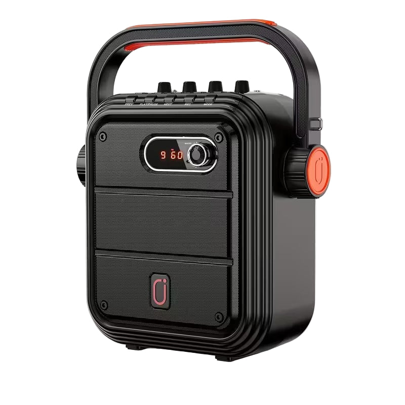 Portable Karaoke Machine with 2 Wireless Microphones
