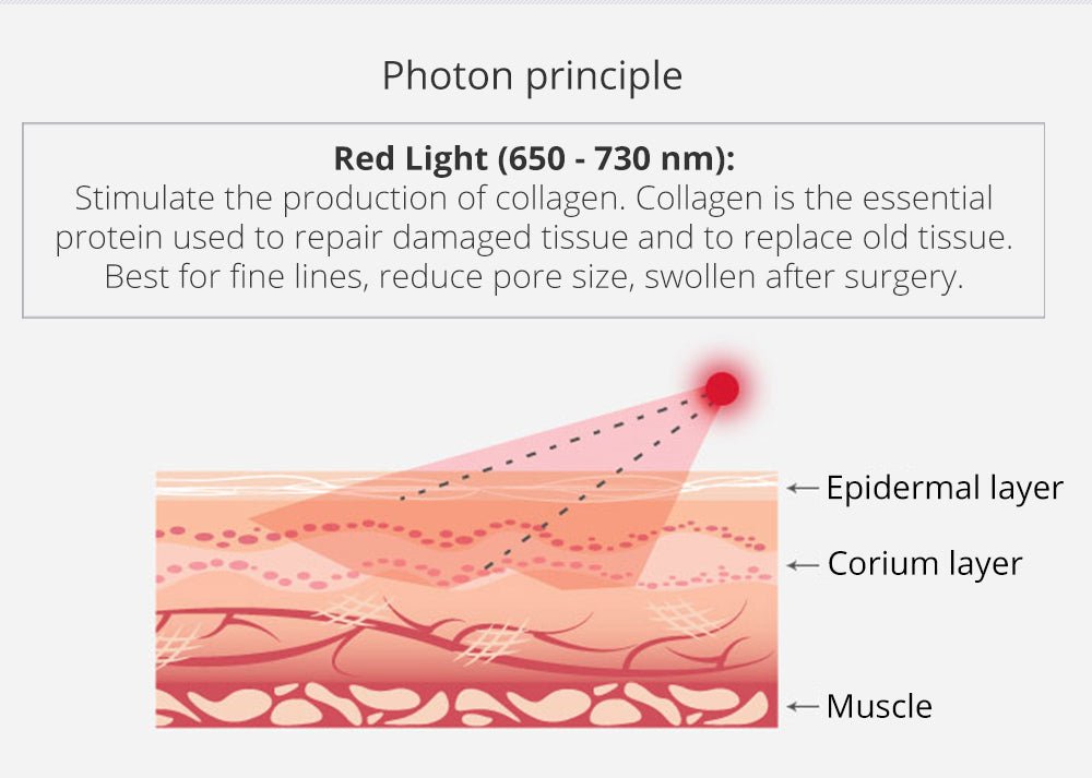 Kim 10 6-in-1 Cavitation RF Lipo Laser System