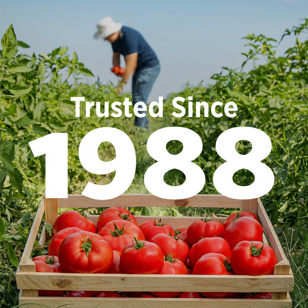 Hunt's Diced Tomatoes No Salt Added