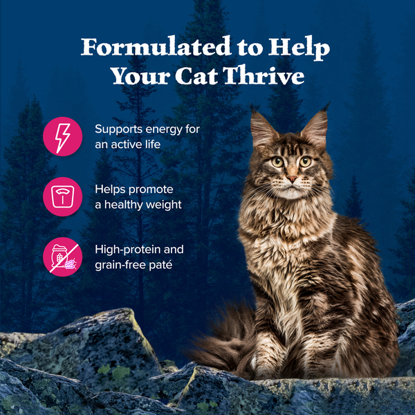 Blue Buffalo Wilderness High Protein Grain Free, Natural Adult Pate Wet Cat Food, Salmon