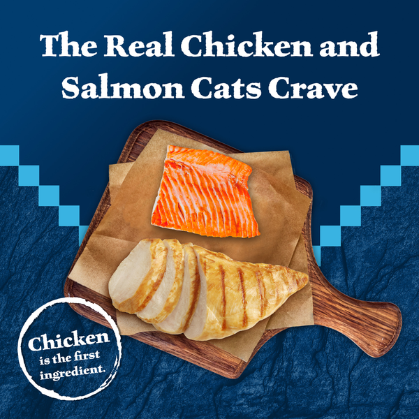 Blue Buffalo Wilderness Delights Meaty Wet Cat Food, Chicken & Salmon in  Gravy