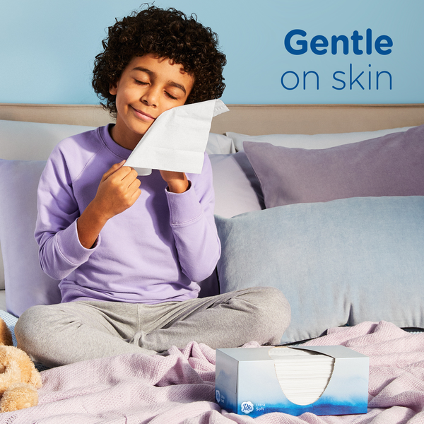 Puffs Ultra Soft Facial Tissues, Family Box